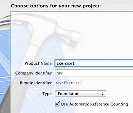 Xcode Choose Project Options