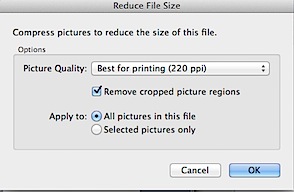 resize an image for word 2011 mac